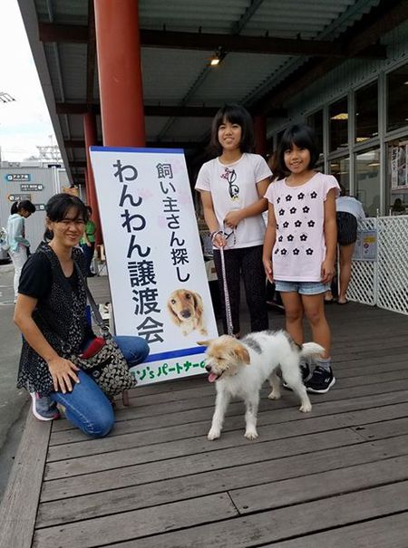 「譲渡会」終える・・・センター引取り、なっちゃんトライアルへ! 「譲渡会」終える・・・センター引取り、なっちゃんトライアルへ!