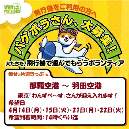 那覇空港~羽田空港「バゲボラ」募る・・・「シェア活動」協力お願いします! 那覇空港~羽田空港「バゲボラ」募る・・・「シェア活動」協力お願いします!
