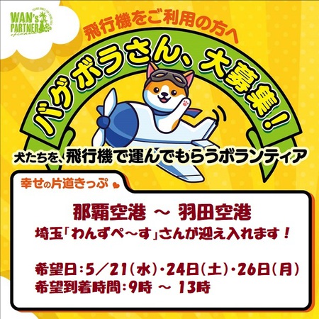那覇空港~羽田空港「バゲボラ」募る・・・「シェア活動」協力お願いします! 那覇空港~羽田空港「バゲボラ」募る・・・「シェア活動」協力お願いします!
