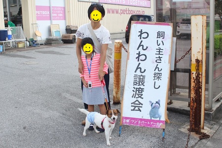 センター引取りJラッセル・マイロ君・・・セカンドチャンス! センター引取りJラッセル・マイロ君・・・セカンドチャンス!