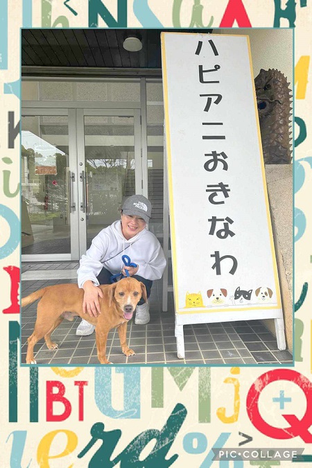 昨日、「ハピアニ」からタコス君、引取っています・・・堅田あずかりメンバーに感謝!涙 昨日、「ハピアニ」からタコス君、引取っています・・・堅田あずかりメンバーに感謝!涙