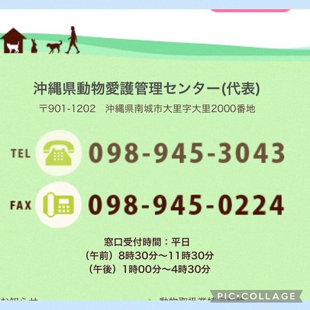 「譲渡推進棟(ハピアニ)」ワンニャンズに会いに行って下さ~い・・・「ワンsの会」から宜しくです! 「譲渡推進棟(ハピアニ)」ワンニャンズに会いに行って下さ~い・・・「ワンsの会」から宜しくです!