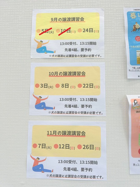 「譲渡推進棟(ハピアニ)」ワンニャンズに会いに行って下さい・・・今日から「動物愛護週間」で~す! 「譲渡推進棟(ハピアニ)」ワンニャンズに会いに行って下さい・・・今日から「動物愛護週間」で~す!