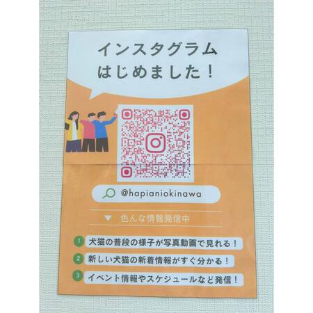「譲渡推進棟(ハピアニ)」ワンニャンズに会いに行って下さい・・・今日から「動物愛護週間」で~す! 「譲渡推進棟(ハピアニ)」ワンニャンズに会いに行って下さい・・・今日から「動物愛護週間」で~す!
