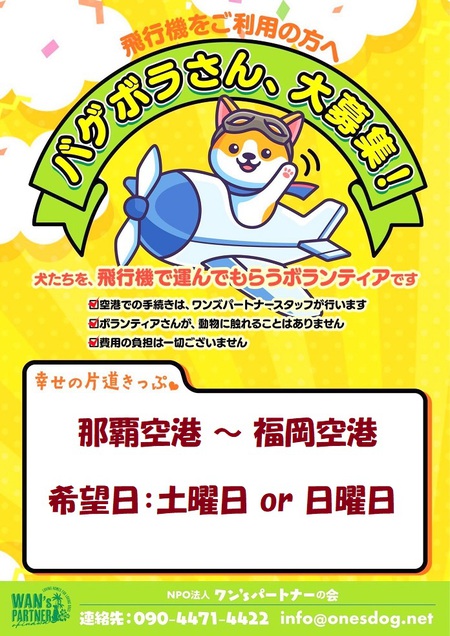 那覇空港~福岡空港「バゲボラ」募る・・・いよいよ、メリー婆さん「旅立つ」予定です! 那覇空港~福岡空港「バゲボラ」募る・・・いよいよ、メリー婆さん「旅立つ」予定です!