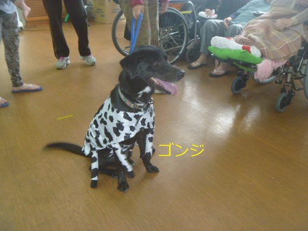 「動物介在活動」訪問しました・・・デイサービス「福寿の郷」 「動物介在活動」訪問しました・・・デイサービス「福寿の郷」