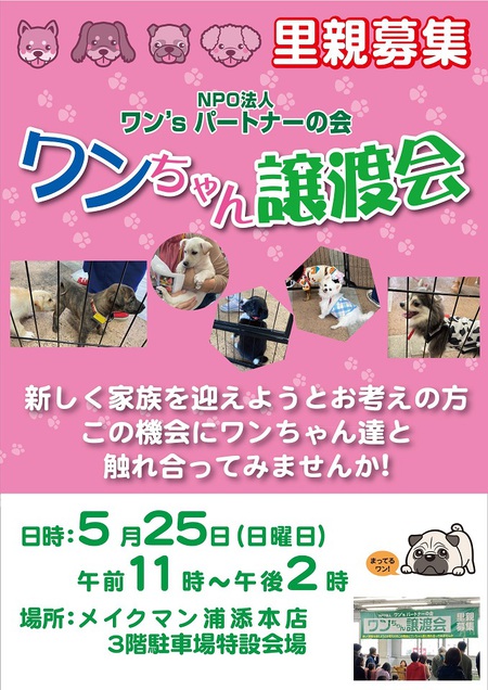 明日、「ワンsサポート譲渡会 IN メイクマン浦添本店」・・・保護イヌたち待ってま~す! 明日、「ワンsサポート譲渡会 IN メイクマン浦添本店」・・・保護イヌたち待ってま~す!