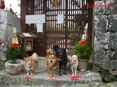 2015年ラストの「ご寄付」願い! 2015年ラストの「ご寄付」願い!