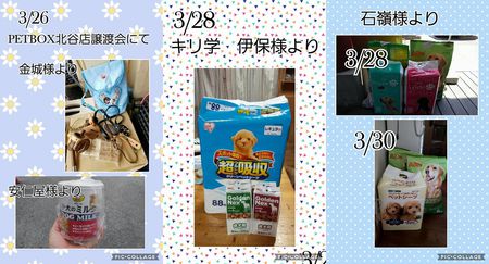 【3月支援物資のご報告!】 【3月支援物資のご報告!】