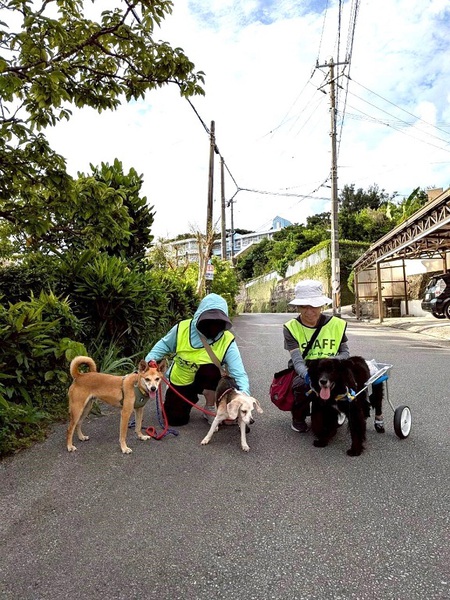 本日、「お助け隊」メンバー4名「ハイツ内」ショートGo~ ・・・「梅雨入り」翌日の晴天の中~笑 本日、「お助け隊」メンバー4名「ハイツ内」ショートGo~ ・・・「梅雨入り」翌日の晴天の中~笑