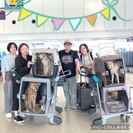 本朝、「ぽちたま」さんへ7ワンズ旅立ちました・・・ただただ、感謝します!涙 本朝、「ぽちたま」さんへ7ワンズ旅立ちました・・・ただただ、感謝します!涙