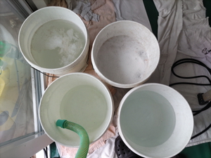 エアコンクリーニング、ドレンホース洗浄で水漏れ対策