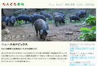 2008年01月24日