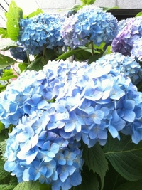 2011年06月24日