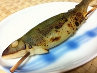 2012年05月06日