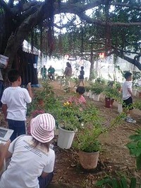 ちょう祭り