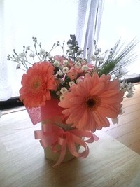 2011年11月23日