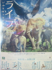 ライフ ~いのちをつなぐ物語~