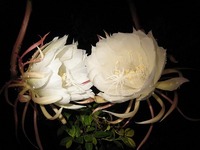 2007年10月21日