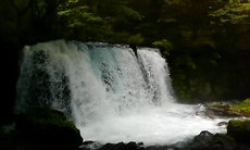 東北の旅!