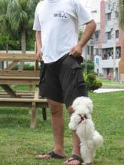 SEX犬?