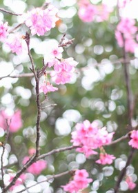 2007年03月04日