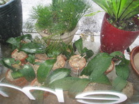 雨。 2012/04/15 11:06:05