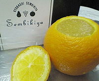でぶっちょまっしぐら 2007/12/06 15:58:55