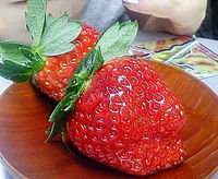 たった今。会社にて。(●´)З｀)))ﾓｸﾞﾓｸﾞ 2007/12/22 16:33:06