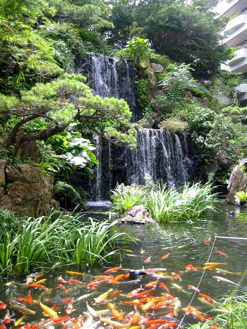 入院保険 の掲示板投稿写真＆画像