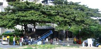 撮影現場の全景