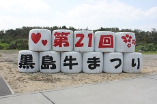 黒島牛祭り