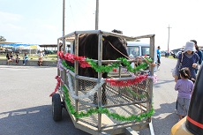 黒島牛祭り