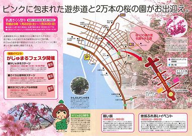 名護さくら祭り会場にて募金!
