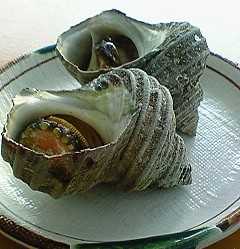 浜辺で網焼き♪