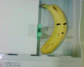 う~ん、どこに隠そうか・・・o(´^`)o