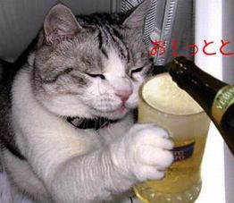 おっつ~o(*^▽^*)o~♪