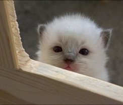 ただいまです=^-^=