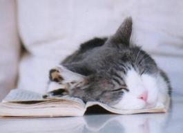 読書の秋だけど・・・