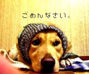 今年も・・・( ´△`)アァ-