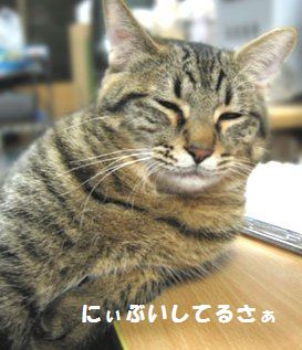 ね、眠っ(*´0)ゞ