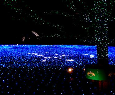 東京ミッドタウン・゚☆.。.:*・゚
