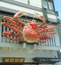 ぷるこぎ♪