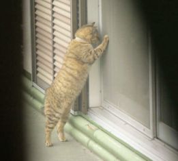 家政婦は見たo(=¬ェ¬=)o