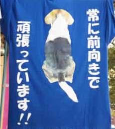 ・・・つもりです