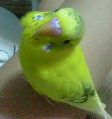 ん?呼んだ?