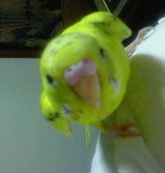 ボクです♪