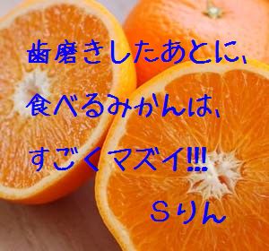 食べ過ぎかも((ミ ̄エ ̄ミ))