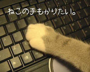 p(´∇`)q