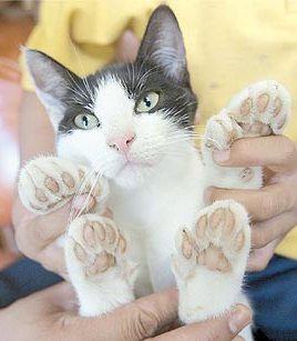好きだけど・・・多すぎてもね(^▽^;)